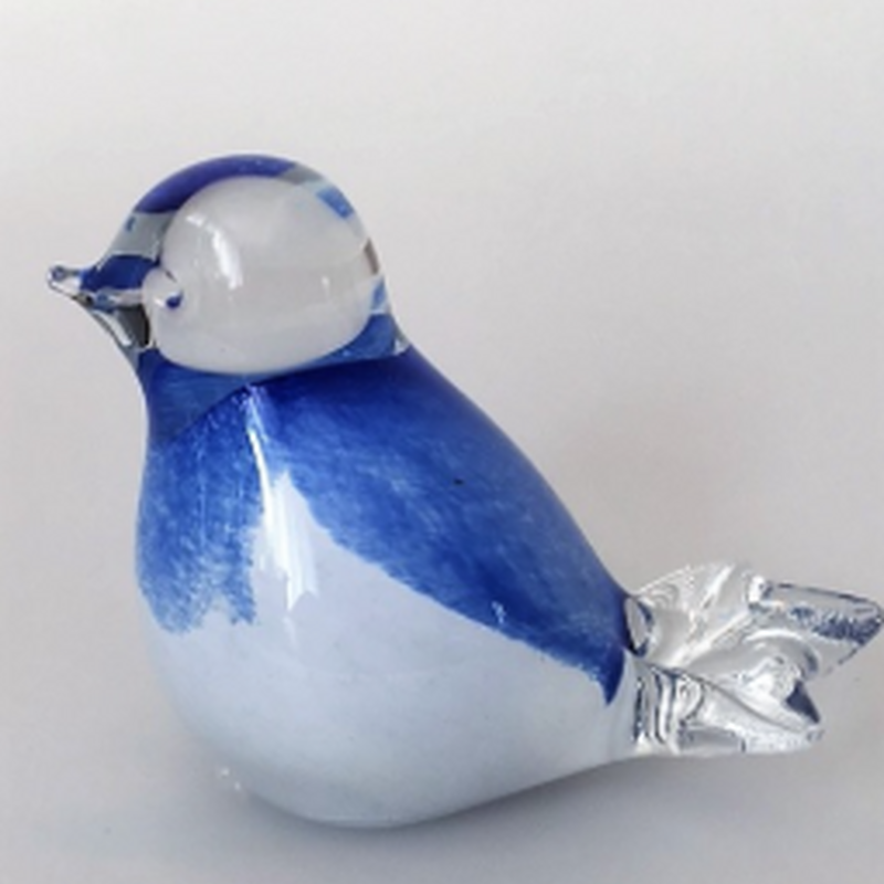 Vogeltjes