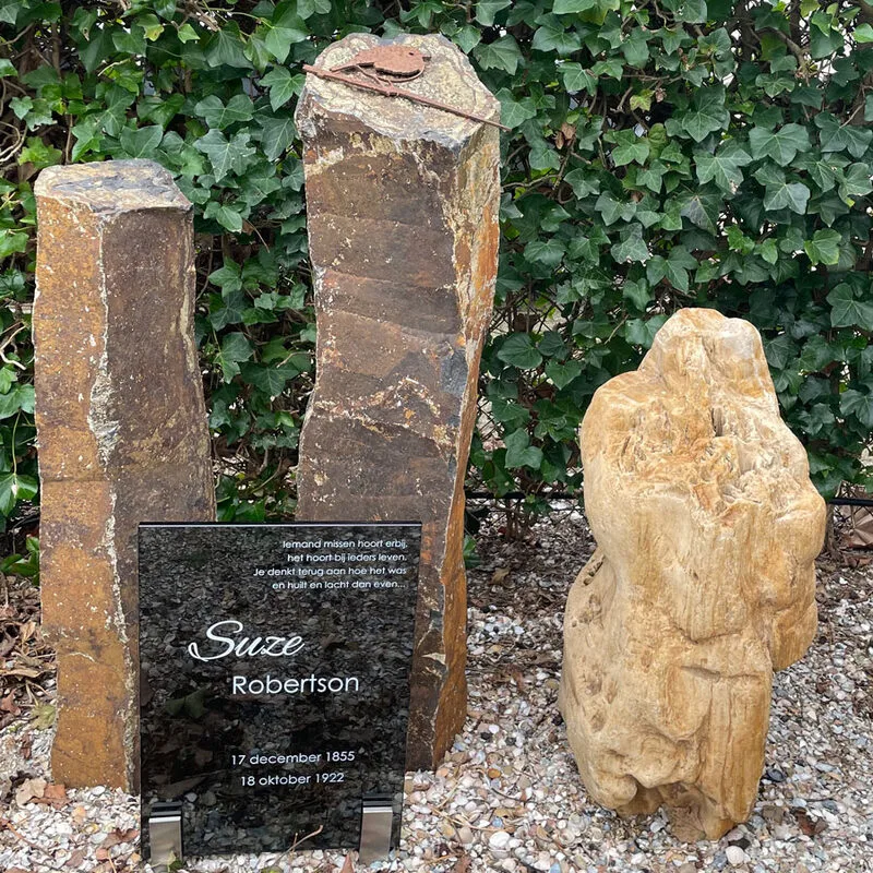 Versteend hout