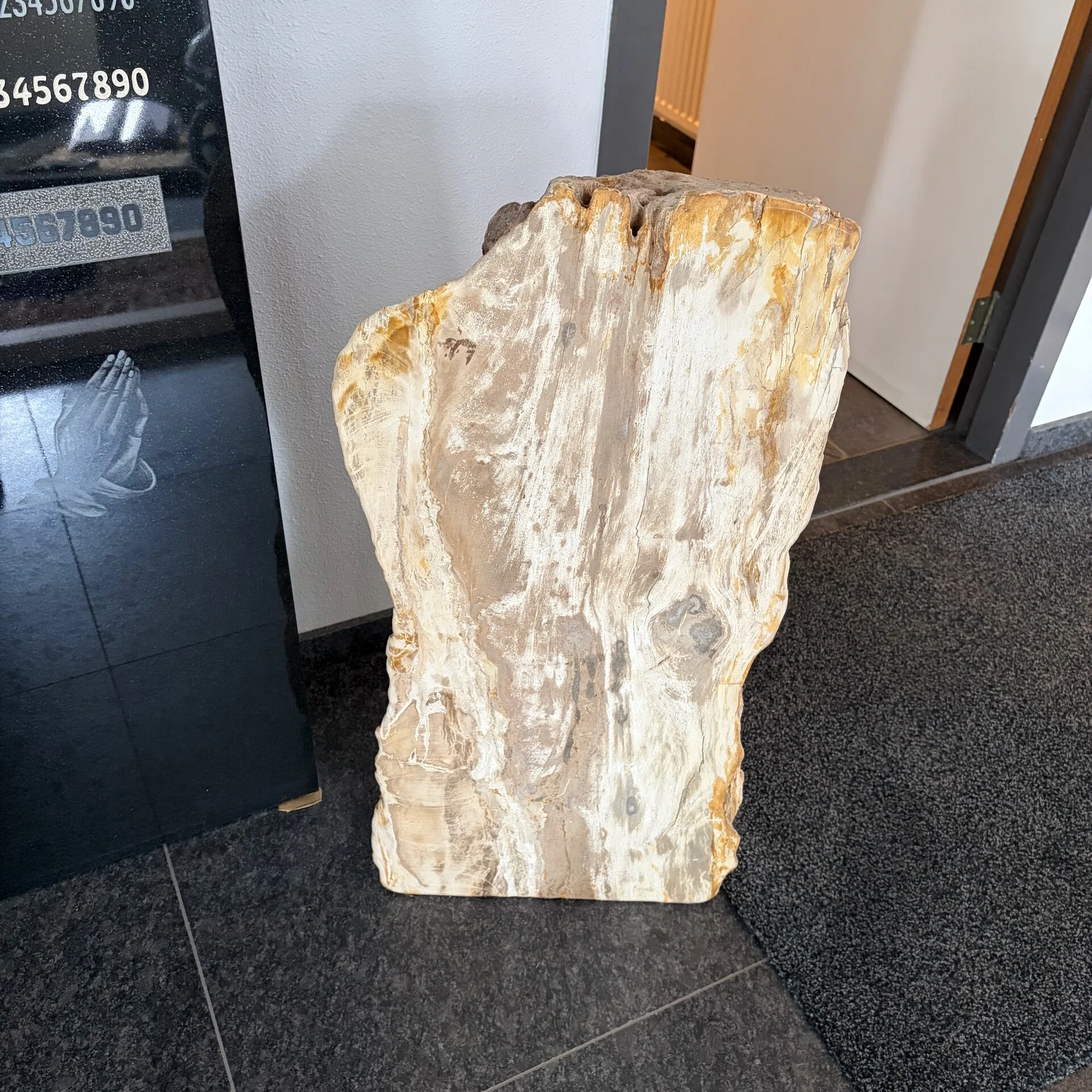 versteend hout deel gepolijst