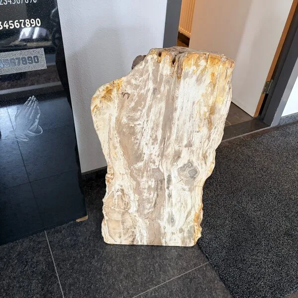 versteend hout deel gepolijst